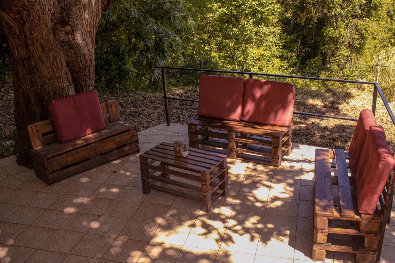 La Casetta nel Bosco per Turisti Castelbuono  Esterno foto