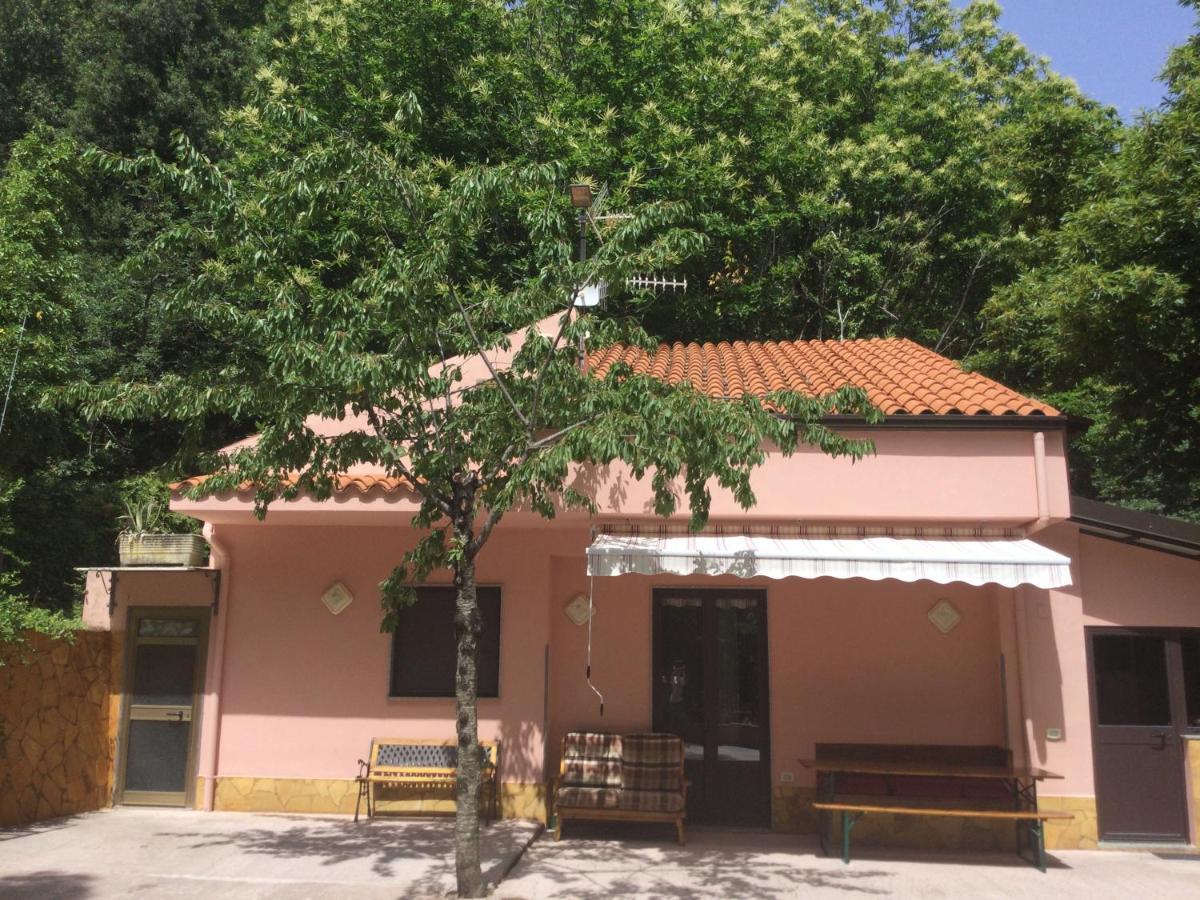 La Casetta nel Bosco per Turisti Castelbuono  Esterno foto